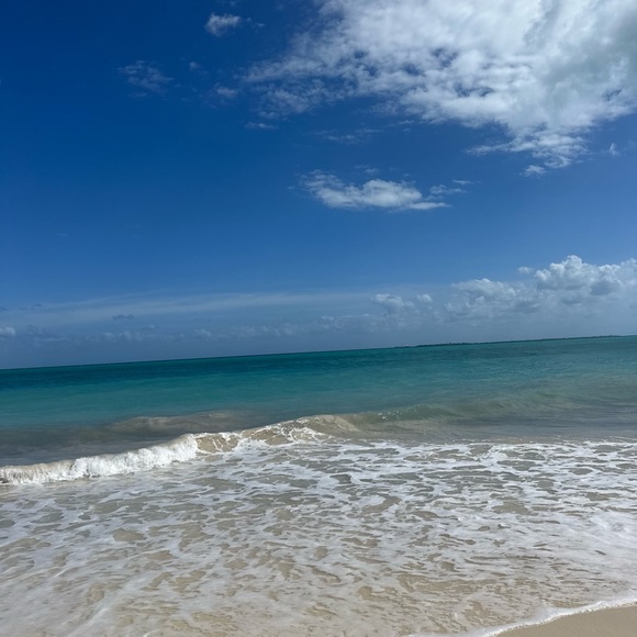 Meet your Posher, Audra - Picture 1 of 1